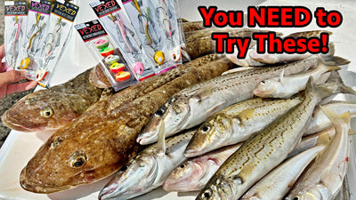 Try this if you want to catch MORE Whiting | VEXED MICRO MEATS in action!