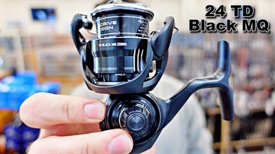 The BEST light tackle fishing reel? | DAIWA 24 TD Black MQ