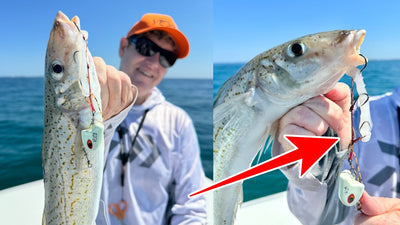 Catch and Cook KING GEORGE WHITING Fishing, Best Eating Fish!