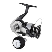 Daiwa 24 Certate SW