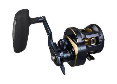 Daiwa 25 Saltiga 300H Overhead Reel