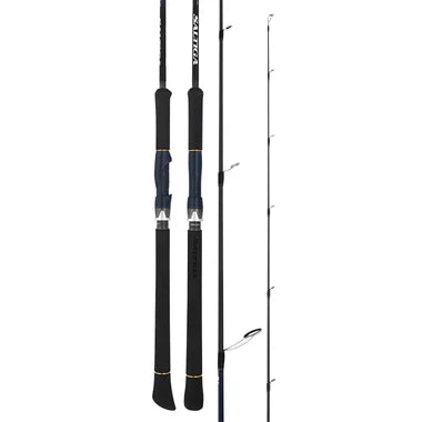 Daiwa 25 Saltiga LC